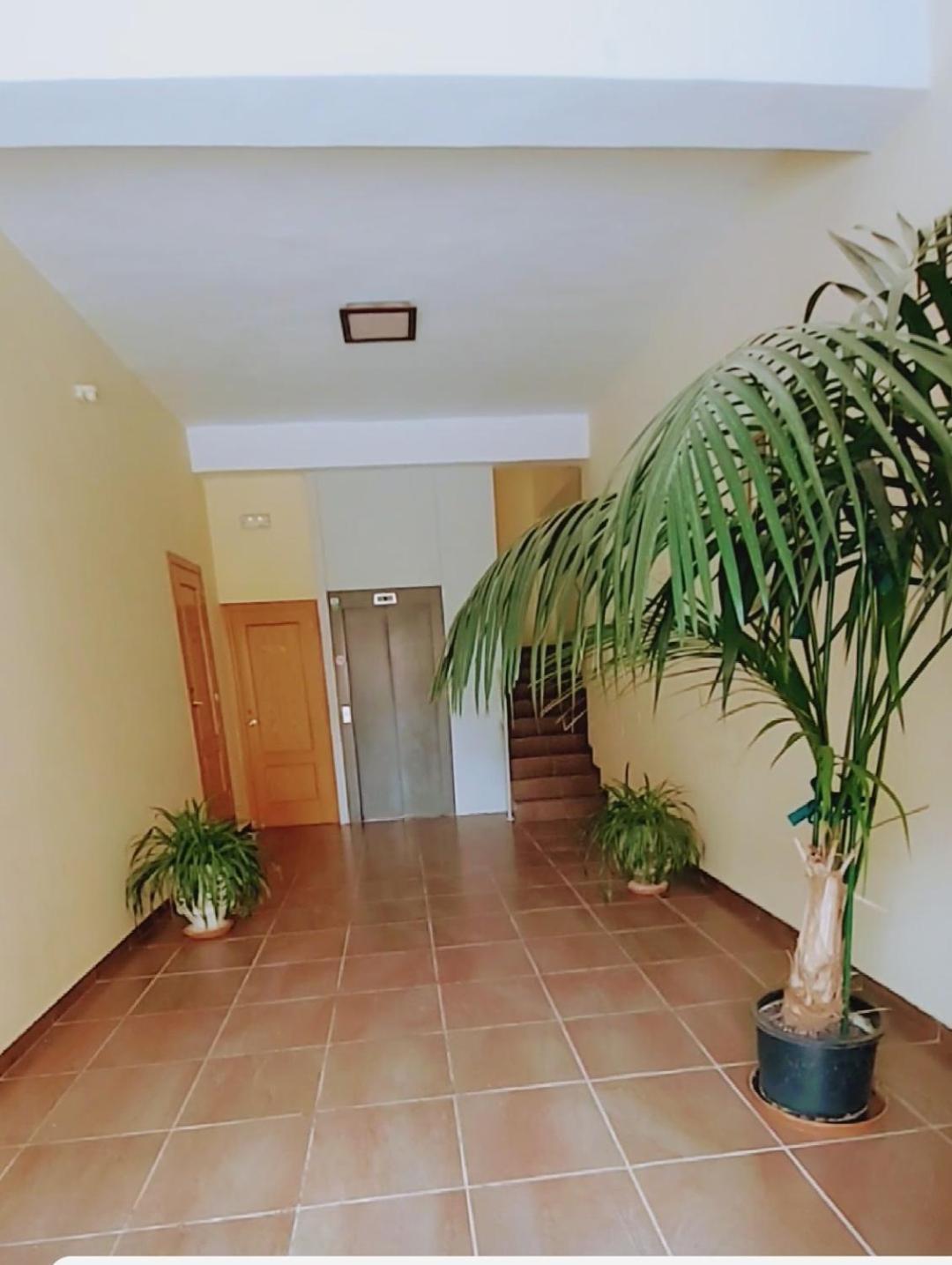 Apartamento Con Vistas A La Montana Oasis 산 비센테 데 라 손시에라 외부 사진